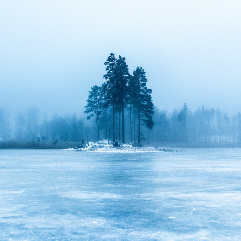 A spiny of tall pines are surrounded by a frozen lake